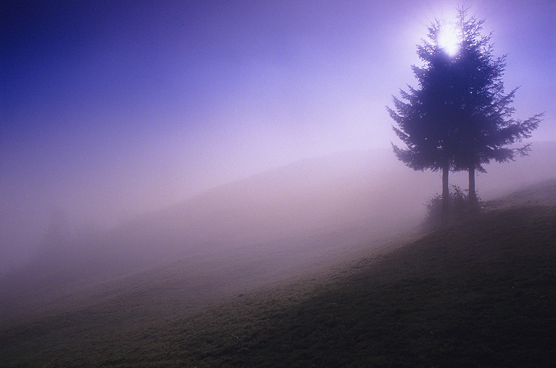 zur Übersicht Nebel 5