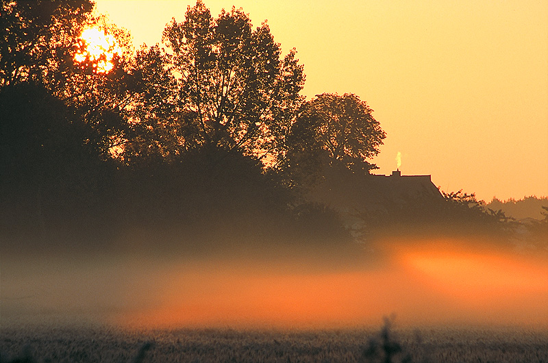 zur Übersicht Nebel 5