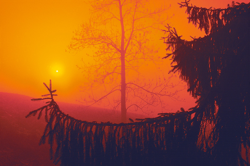 zur Übersicht Nebel 5