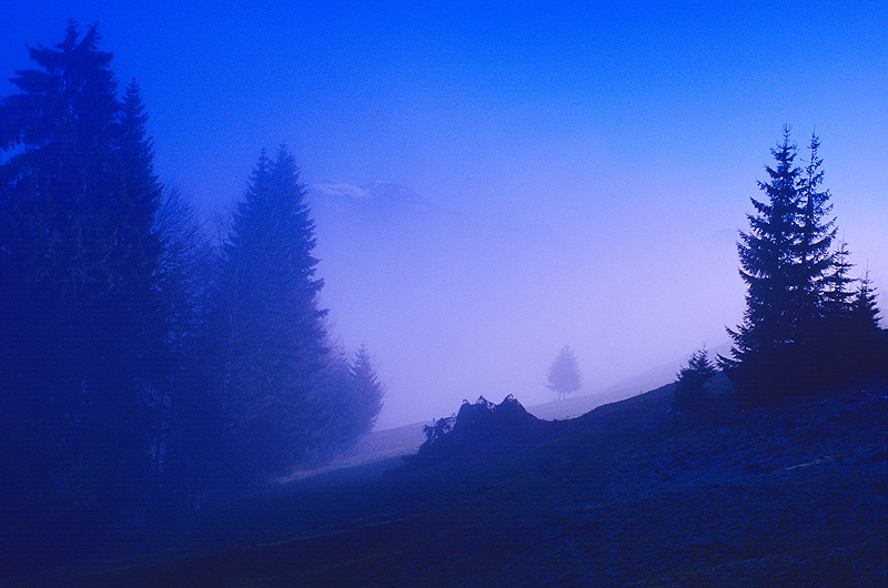 zur Übersicht Nebel 5
