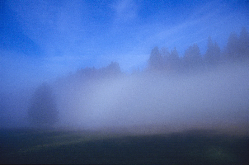 zur Übersicht Nebel 5