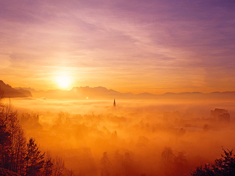 zur Übersicht Nebel 6