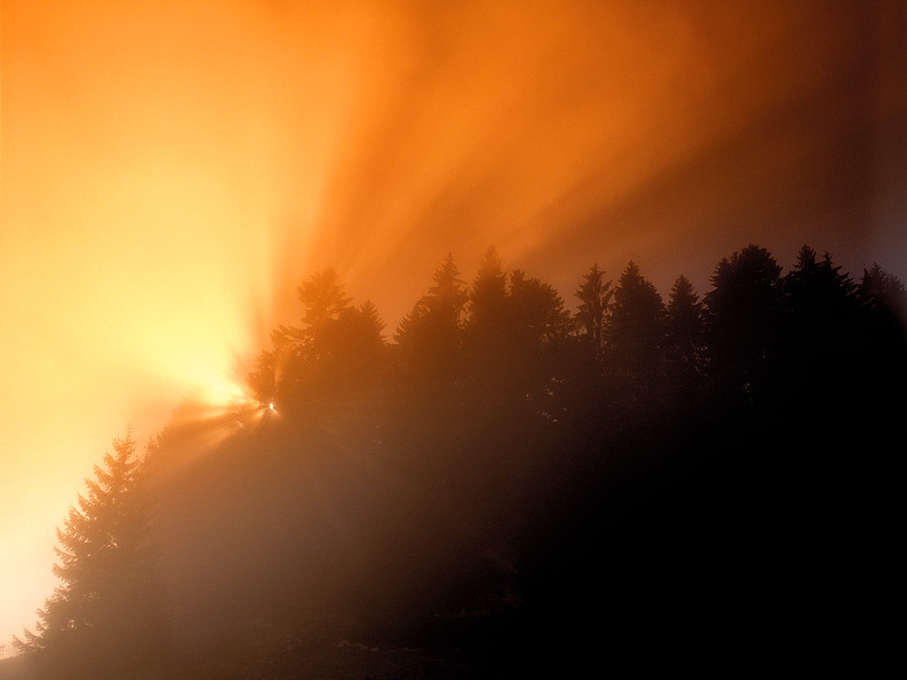zur Übersicht Nebel 6