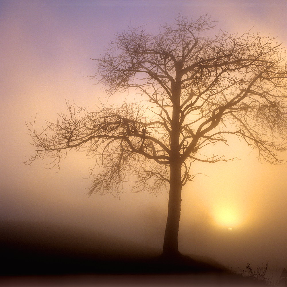 zur Übersicht Nebel 7