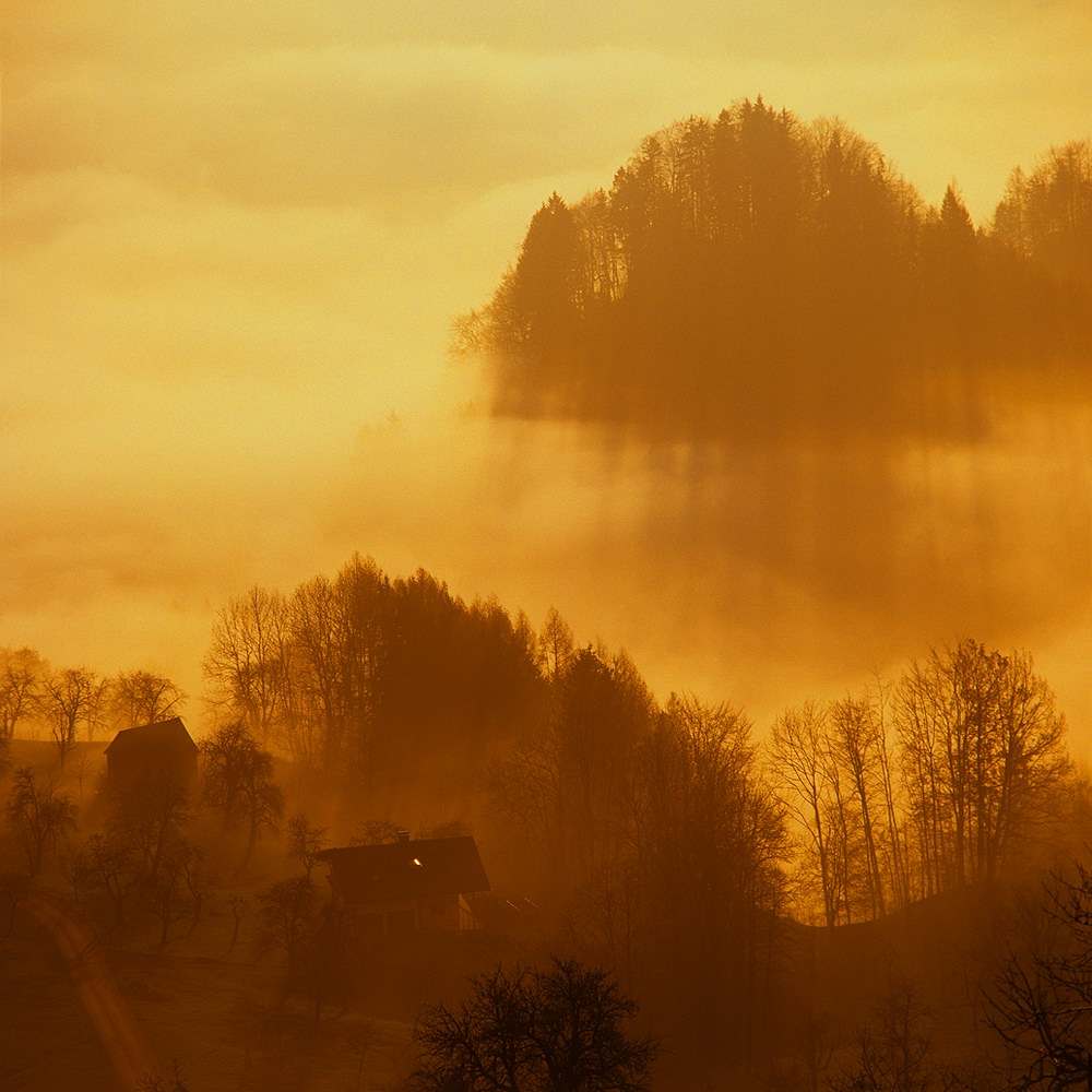 zur Übersicht Nebel 7