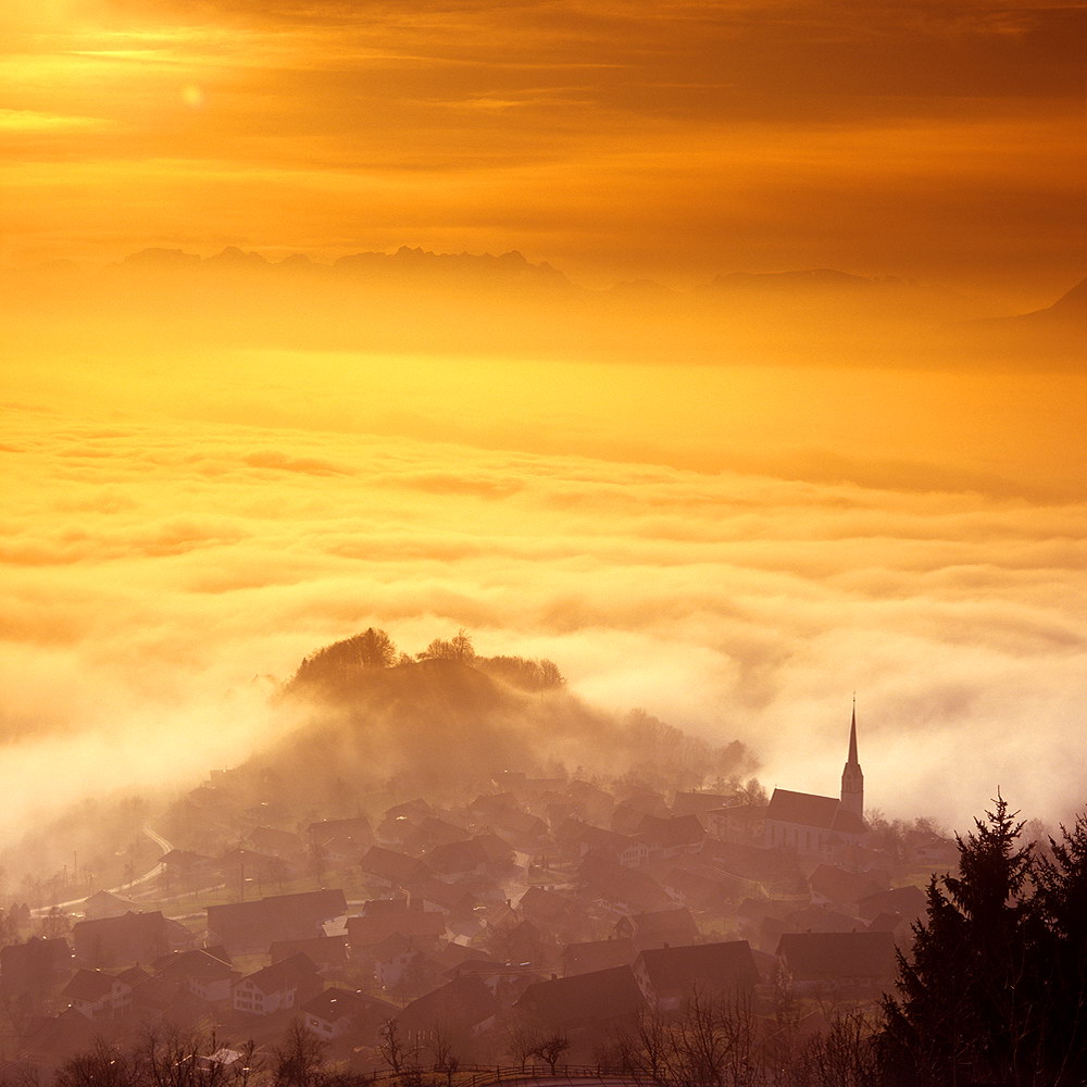 zur Übersicht Nebel 7