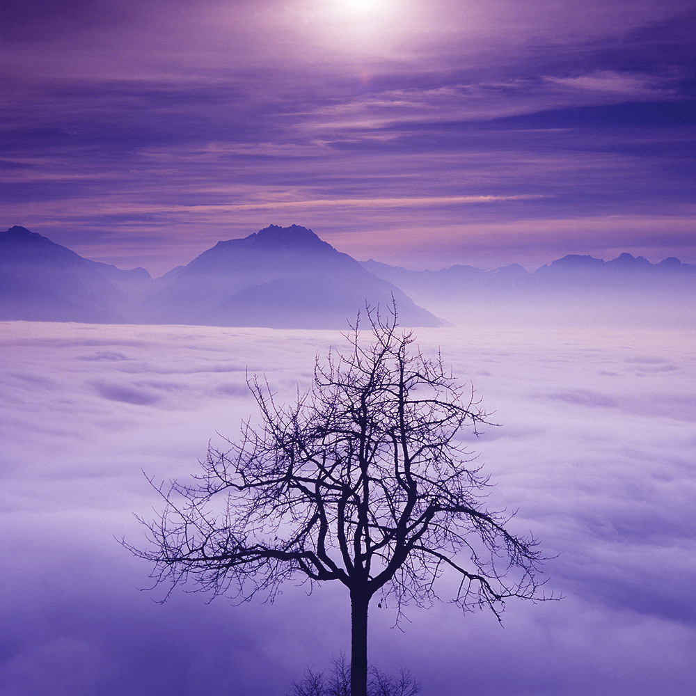 zur Übersicht Nebel 7