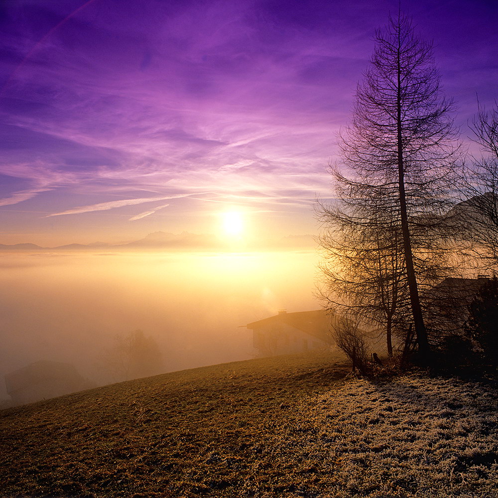 zur Übersicht Nebel 7