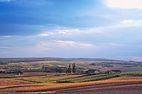 Weinviertel