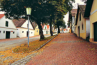 Kellergasse Falkenstein