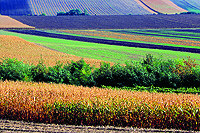 Blick vom Galgenberg