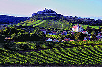 Blick auf Falkenstein