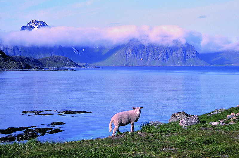 zur Übersicht Norwegen I