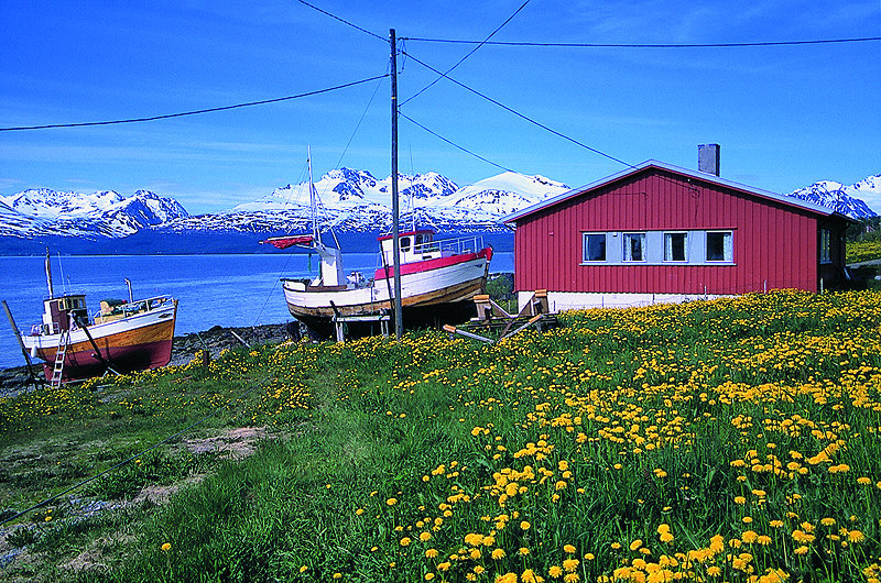 zur Übersicht Norwegen II