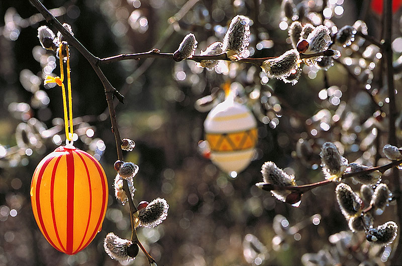 zur Übersicht Frohe Ostern 2