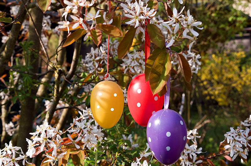 zur Übersicht Frohe Ostern 2