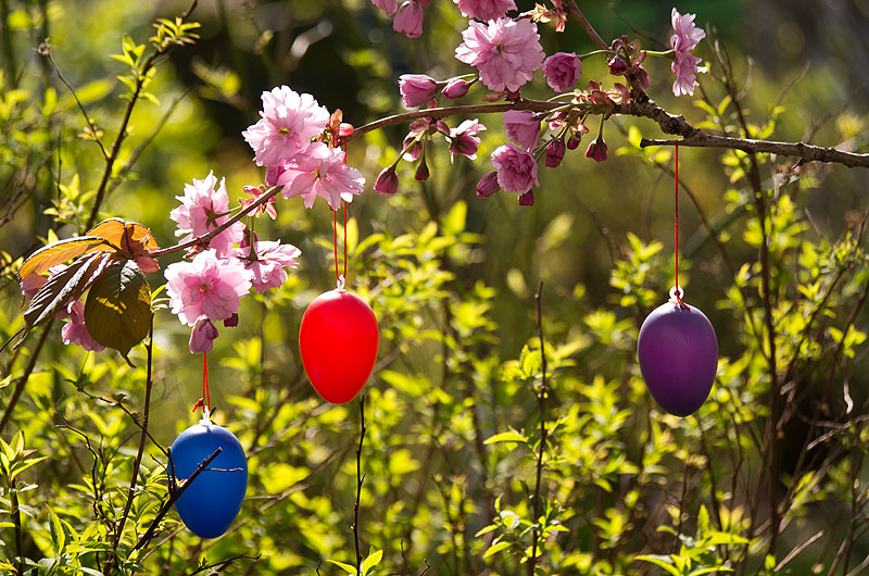 zur Übersicht Frohe Ostern 2