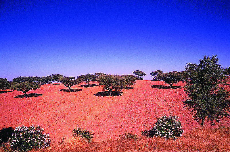 zur Übersicht Portugal