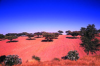 Alentejo