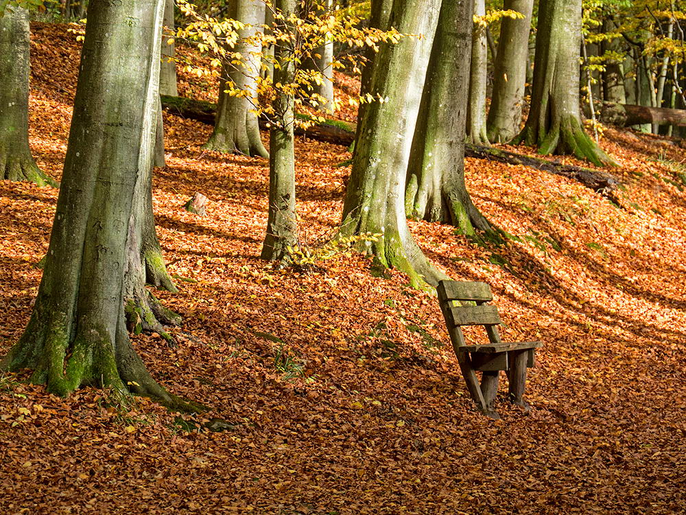 zur &Uuml;bersicht Rast und Ruh 9