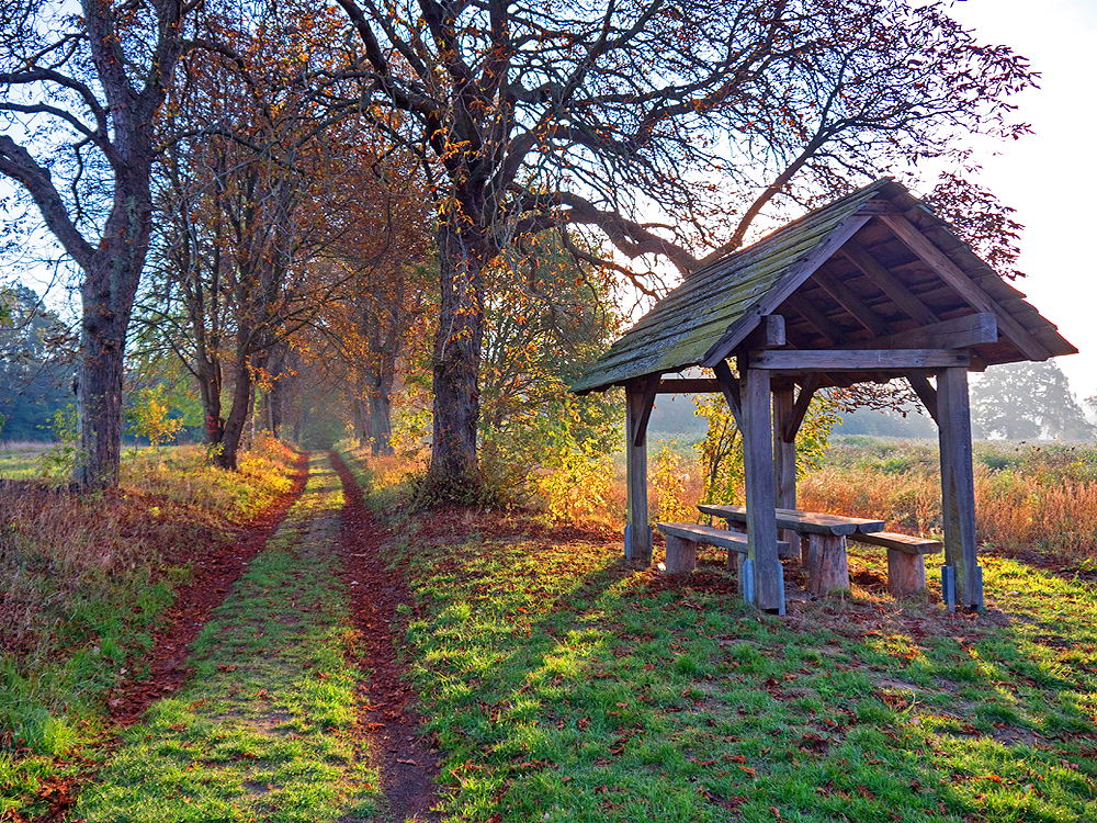 zur &Uuml;bersicht Rast und Ruh 9