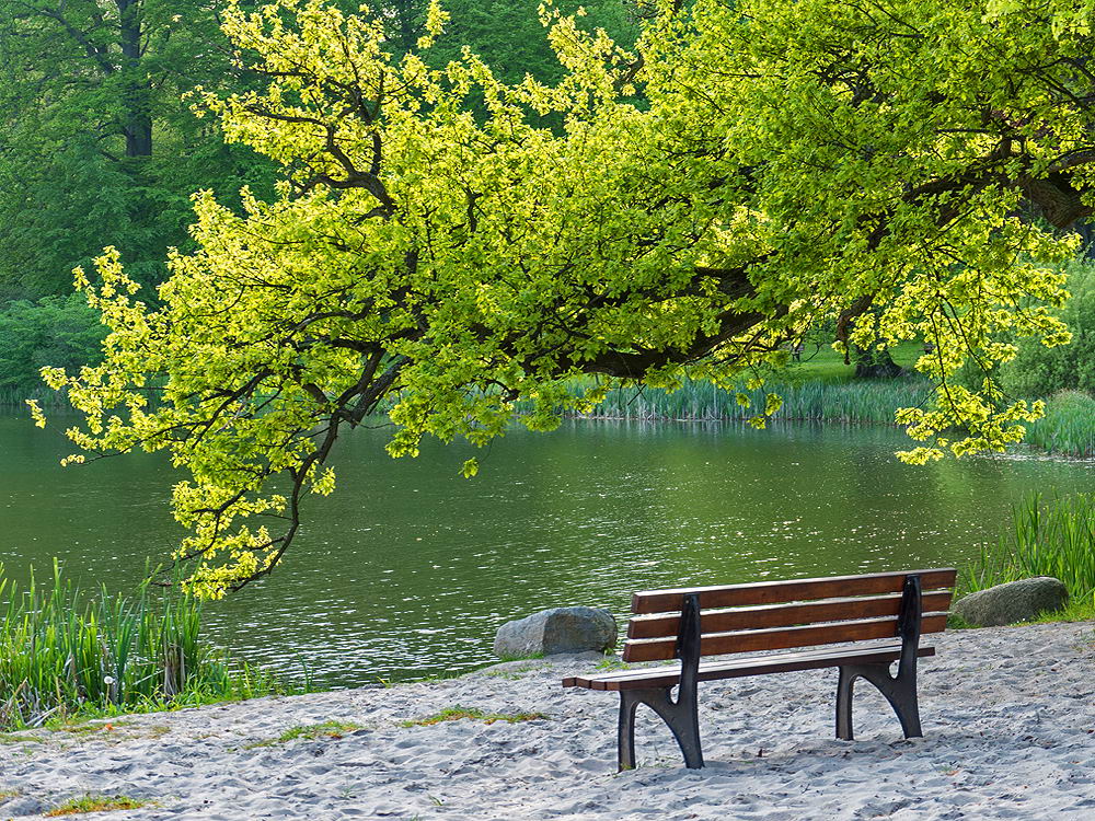 zur &Uuml;bersicht Rast und Ruh 10
