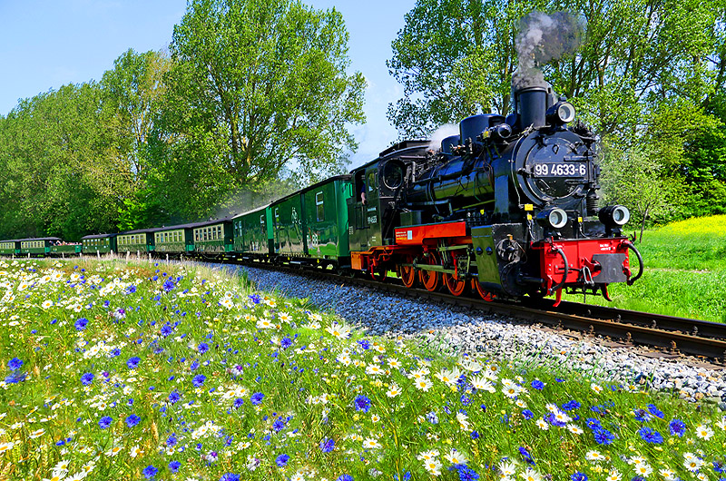 zur Übersicht Rügen 4