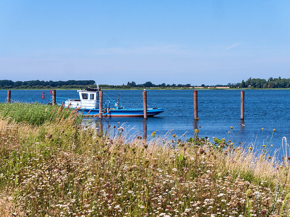 zur Übersicht Sommer 2