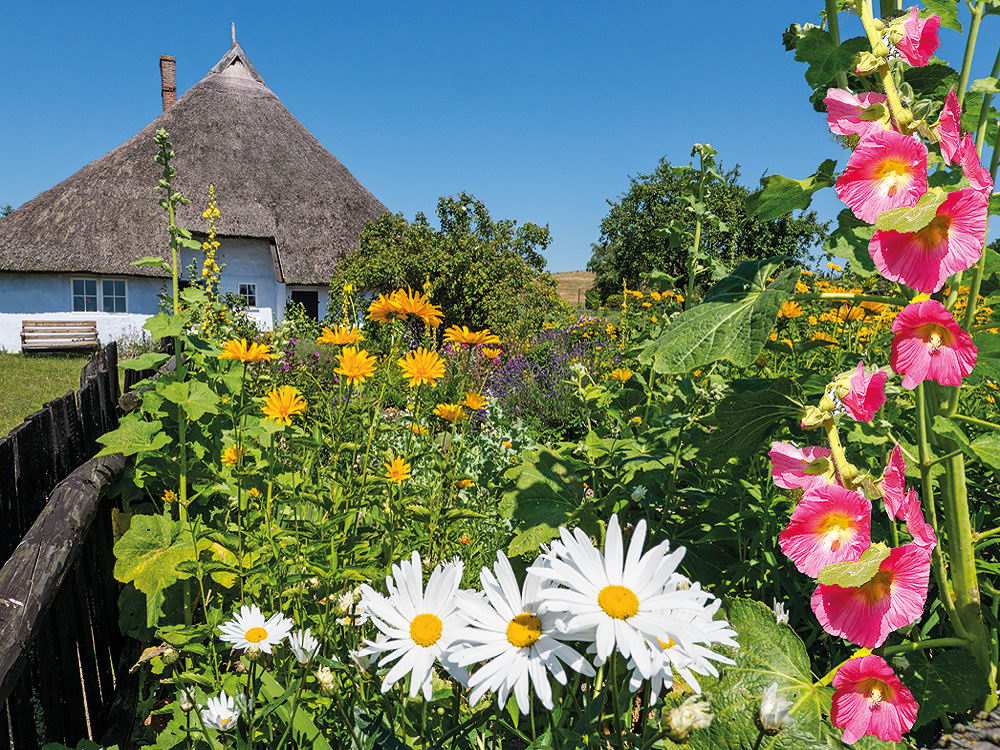 zur Übersicht Sommer 3