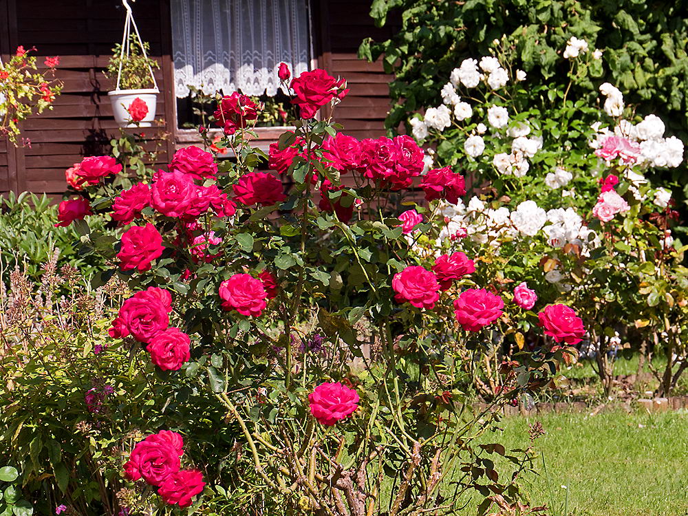 zur Übersicht Sommer 3