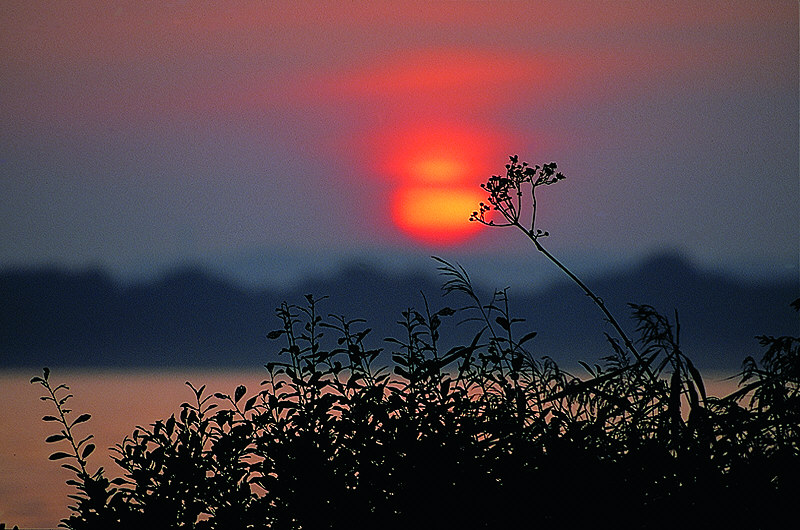 zur Übersicht Sonnen-Symphonien I