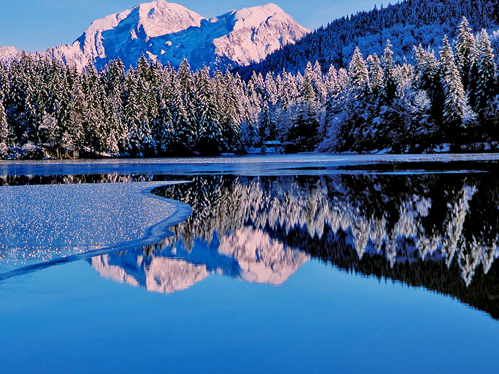 zur Übersicht Spiegelbilder 4