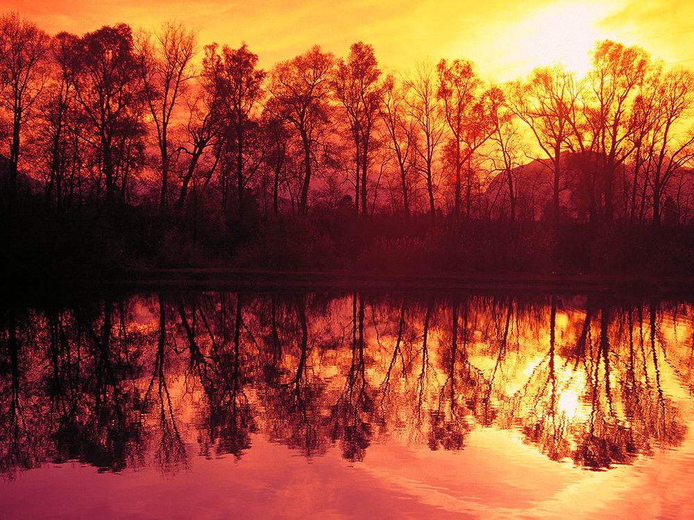 zur Übersicht Spiegelbilder 4