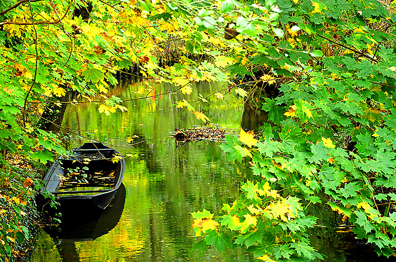 zur Übersicht Spreewald 1