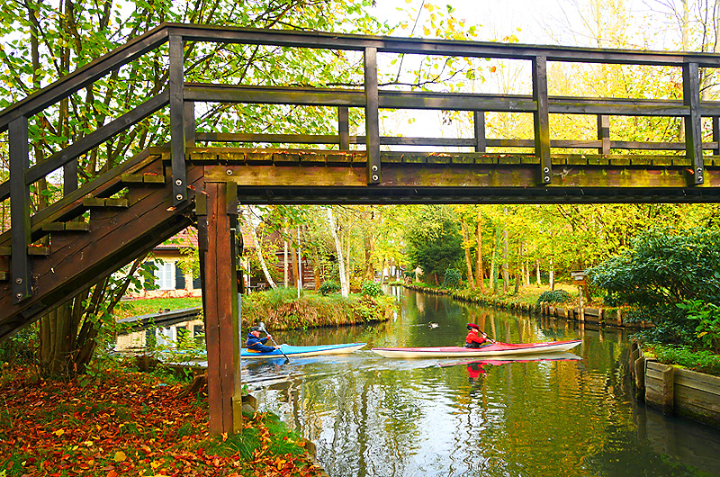 zur Übersicht Spreewald 1