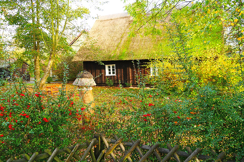 zur Übersicht Spreewald 1