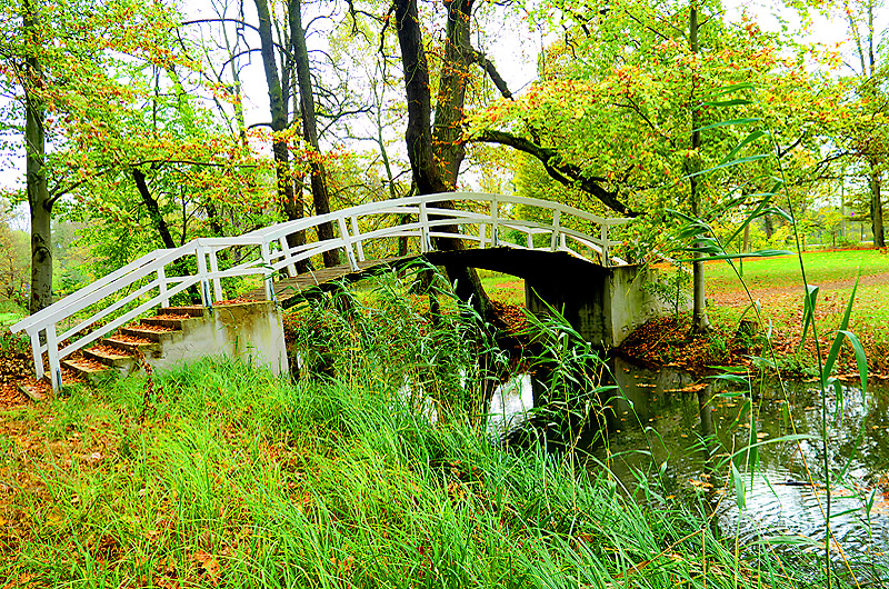 zur Übersicht Spreewald 2