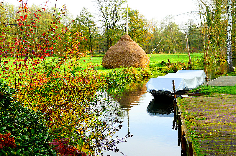 zur Übersicht Spreewald 2