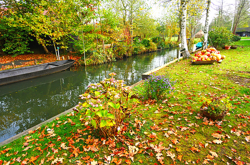 zur Übersicht Spreewald 2