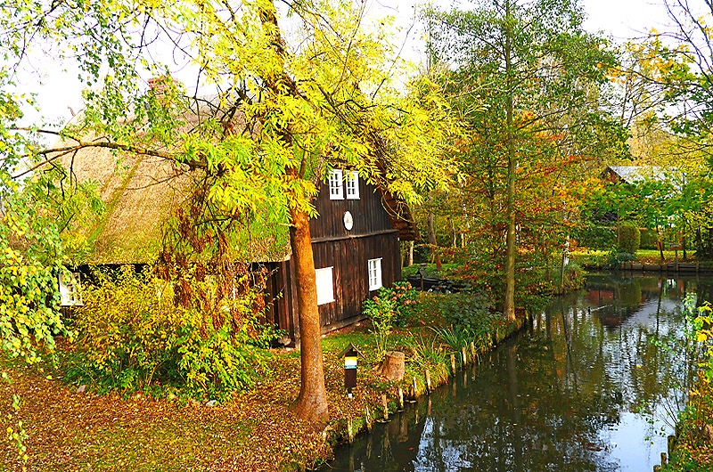 zur Übersicht Spreewald 2