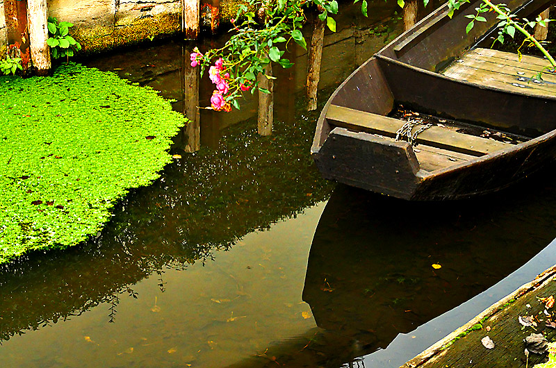 zur Übersicht Spreewald 2