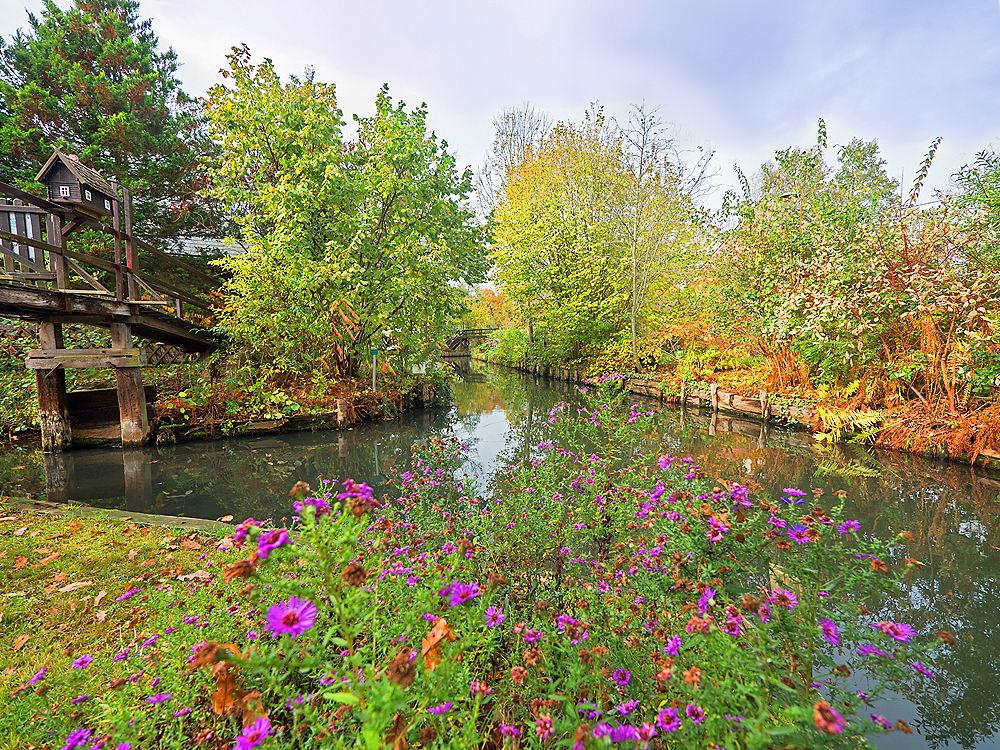 zur Übersicht Spreewald 3