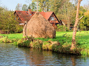Spreewald-Idylle