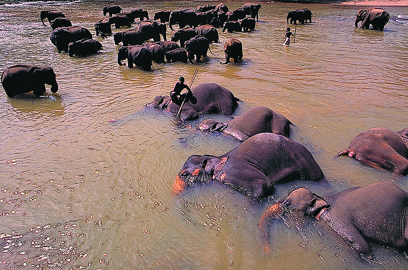 zur Übersicht Sri Lanka