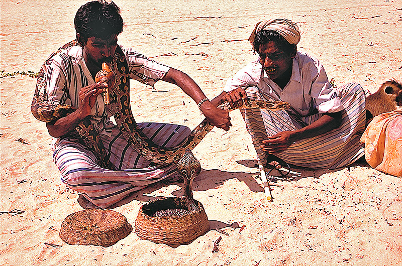 zur Übersicht Sri Lanka