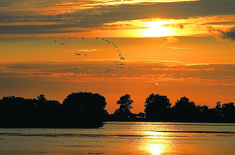 zur Übersicht Stille I