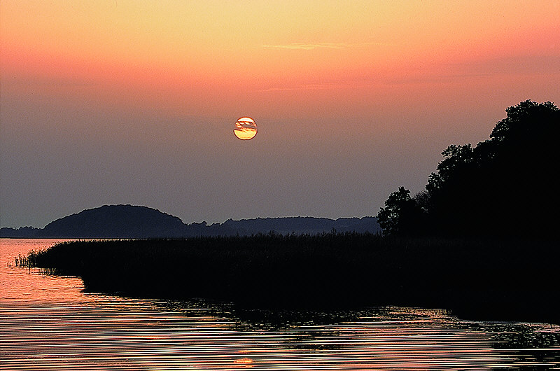 zur Übersicht Stille II