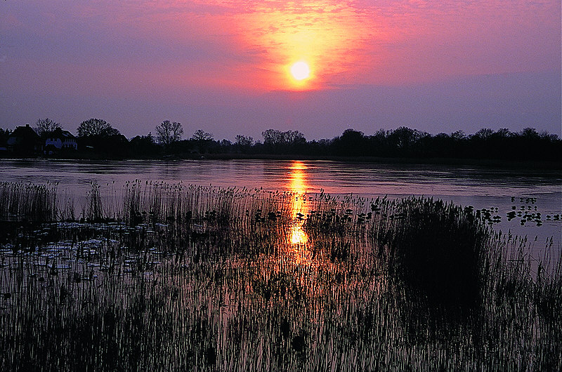 zur Übersicht Stille III