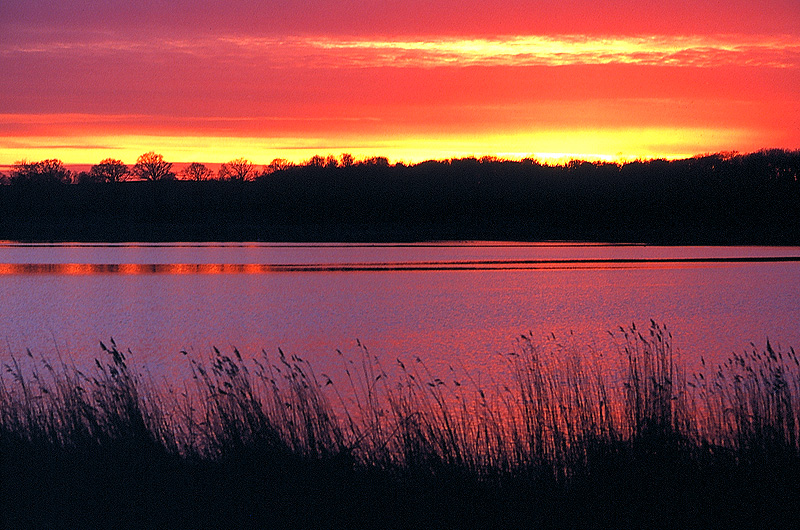 zur Übersicht Stille 6