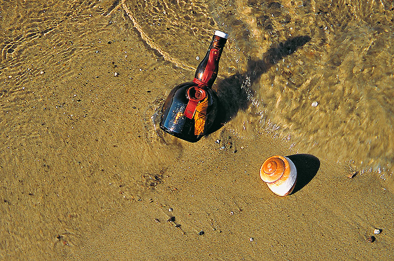 zur Übersicht Strandgut 